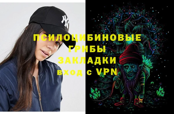 шишки Алзамай