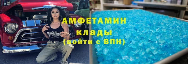 шишки Алзамай