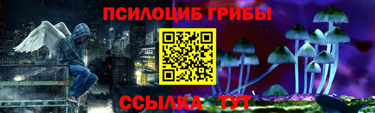 Тобольск  Псилоцибиновые грибы Psilocybine cubensis  Вход с VPN 