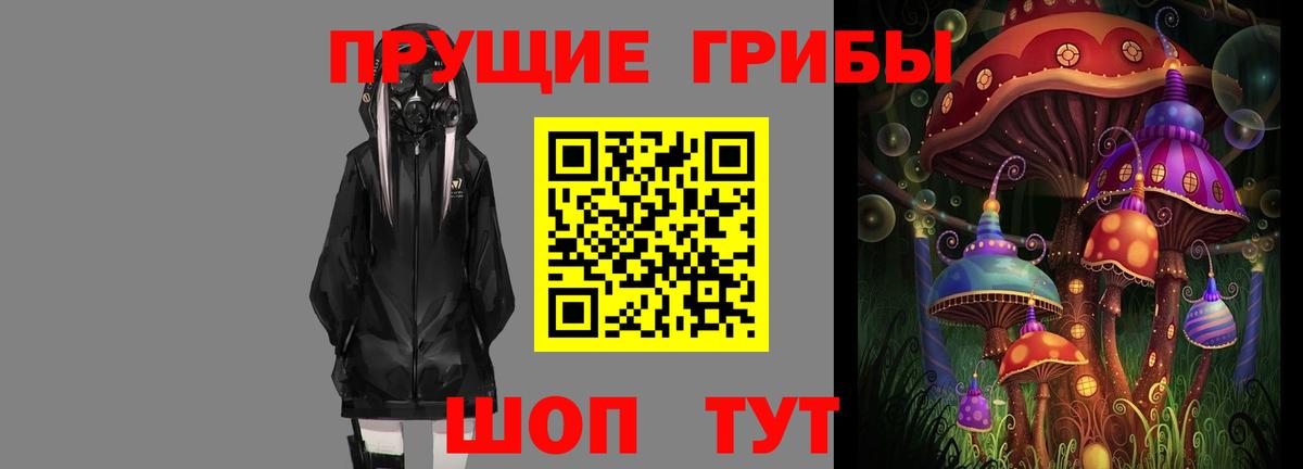 Псилоцибиновые грибы Cubensis Тобольск
